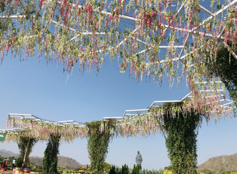 Flowers, Sky,