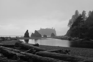 Black and white photo of a Washington shoreline
