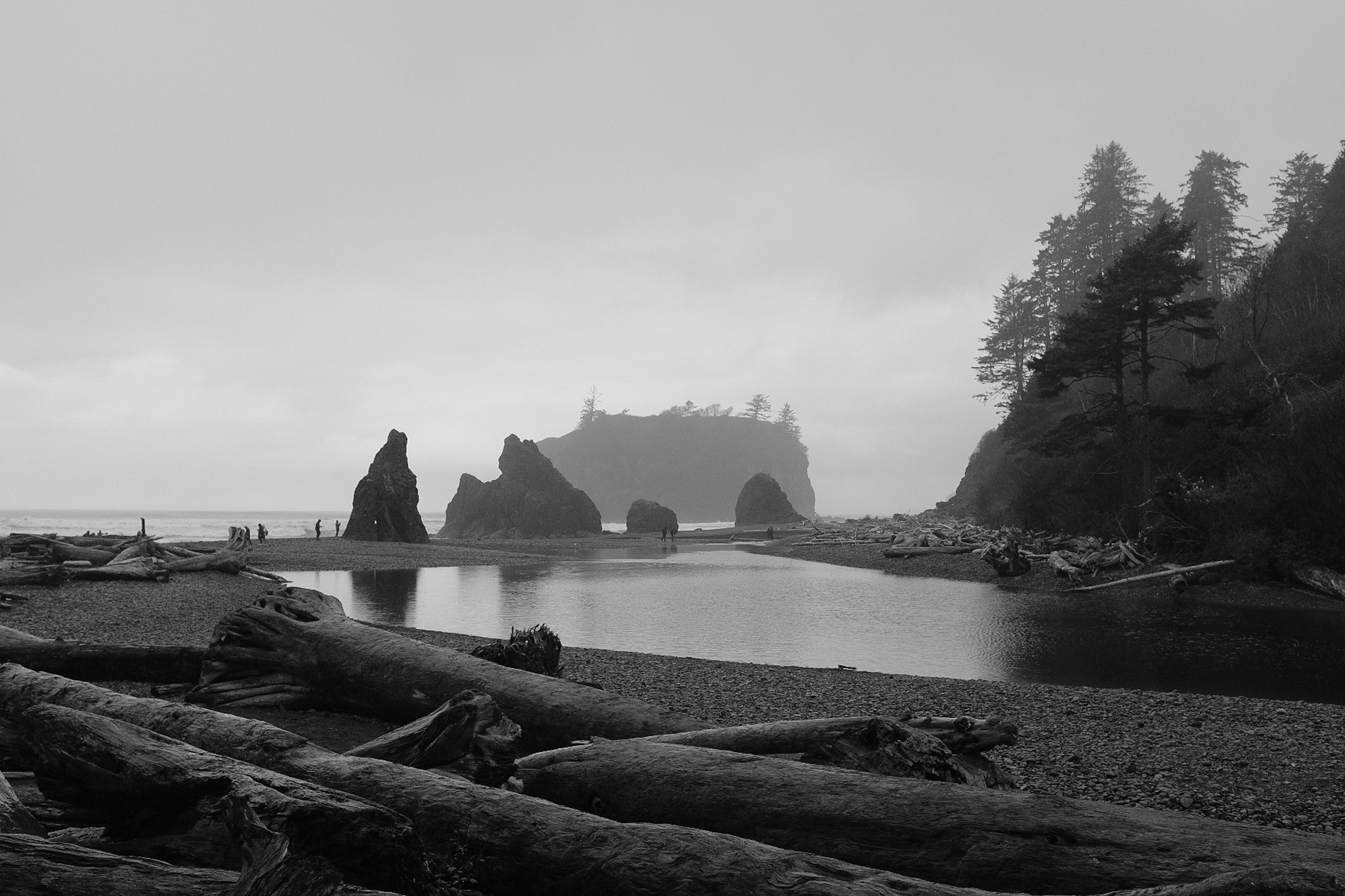 Black and white photo of a Washington shoreline