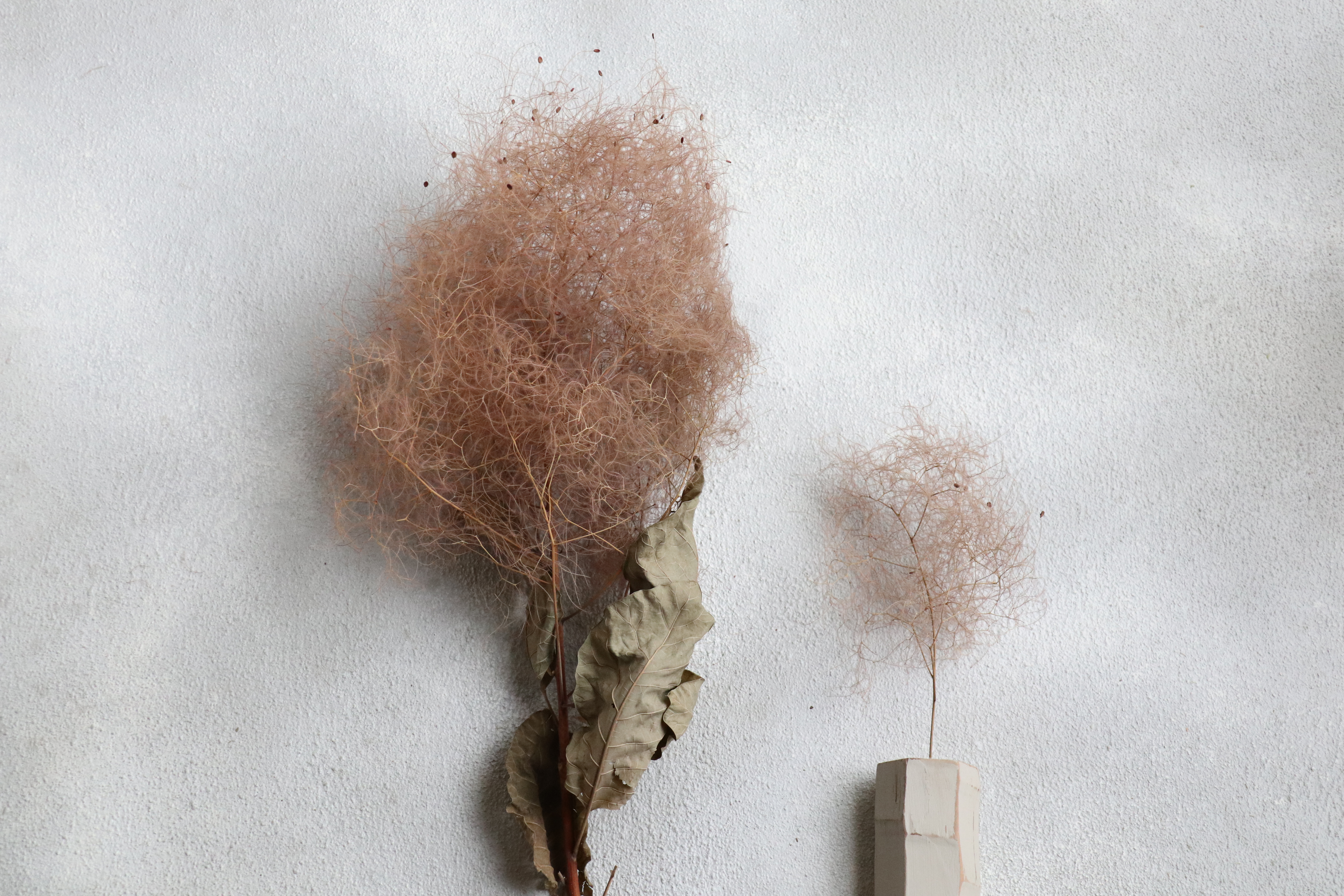 Dried flowers