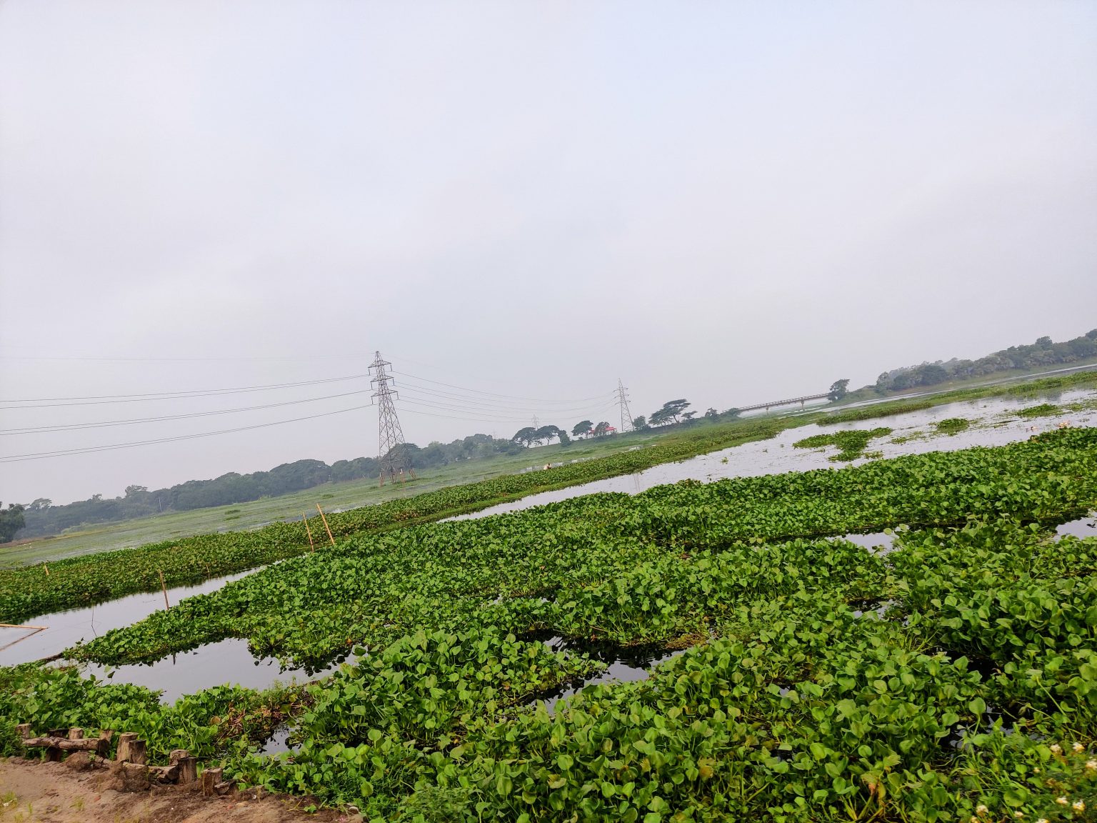 A small river in Gazipur, Bangladesh