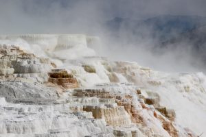 Sedimentary deposits from a Hot Springs in Yellowstone.