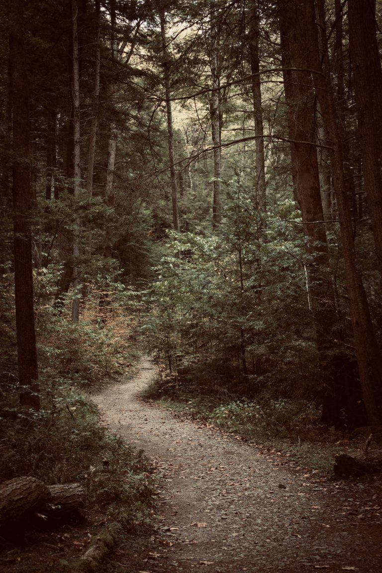 Endless Wall Trail, New River Gorge National Park, Fayette County, West Virginia