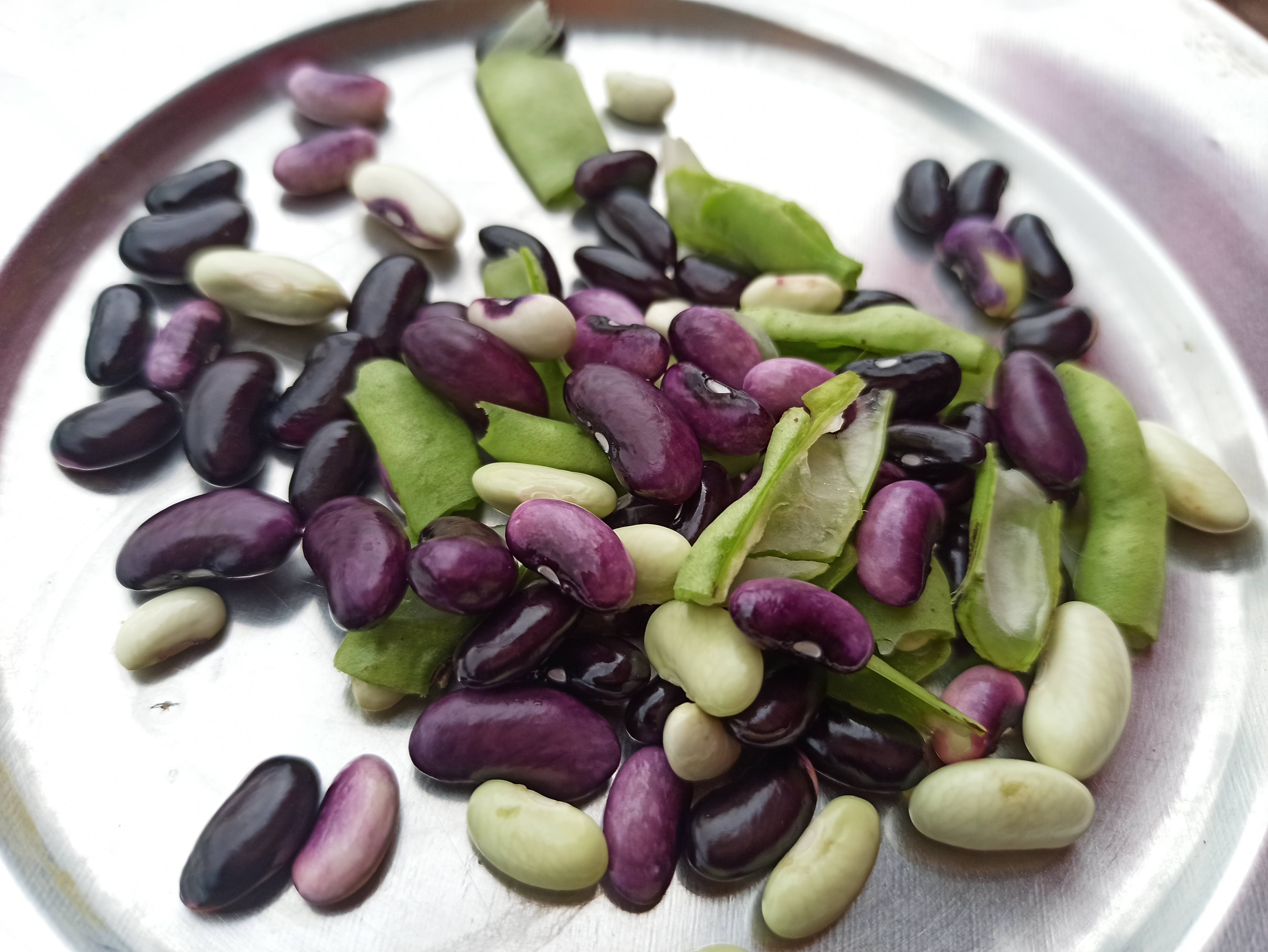 This is one of the type of kidney beans, which is ready to be cooked.