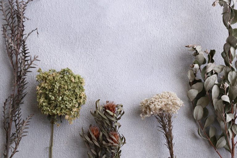 Dried flowers