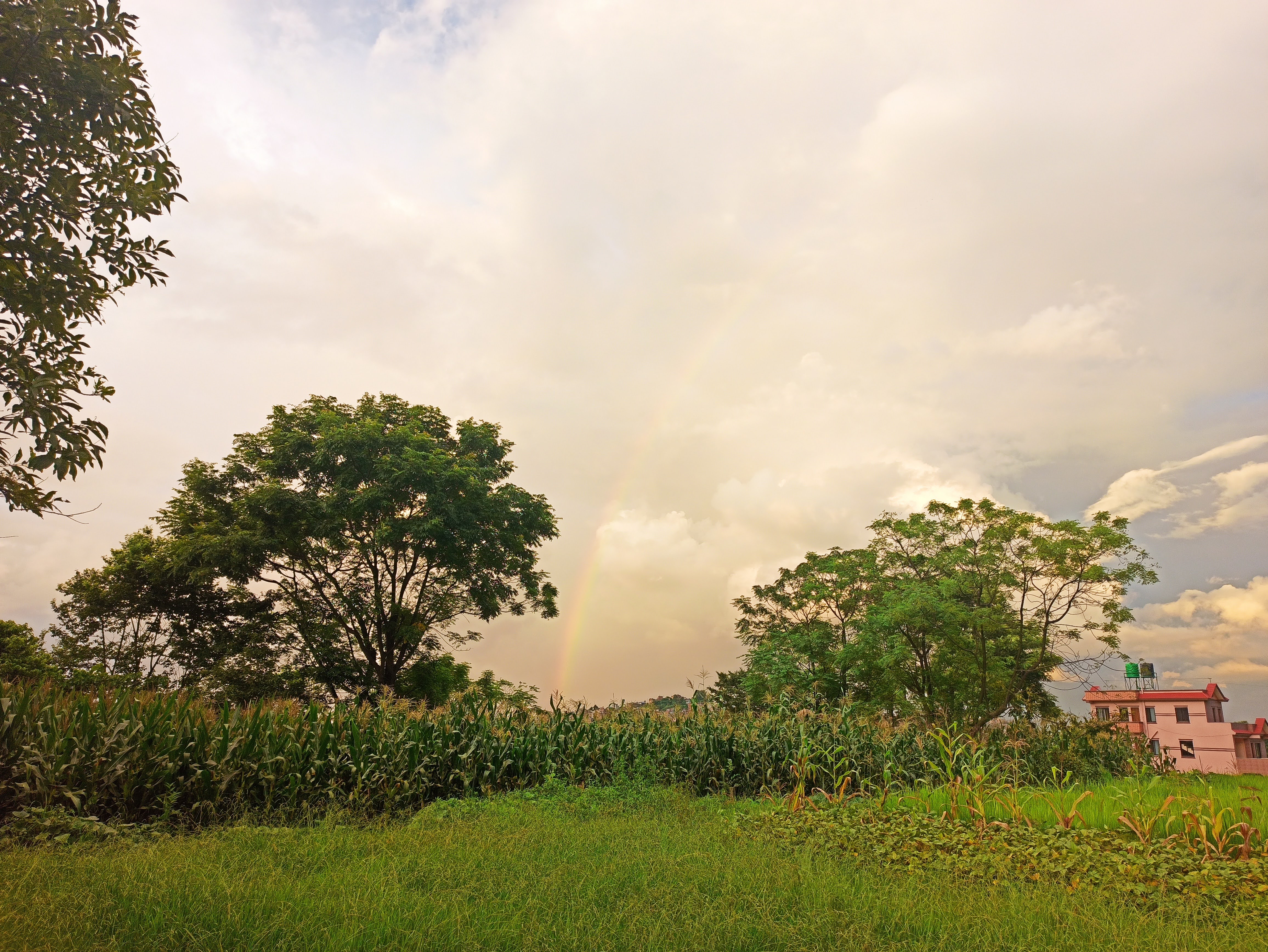 Rainbow with trees and cloudy sky.