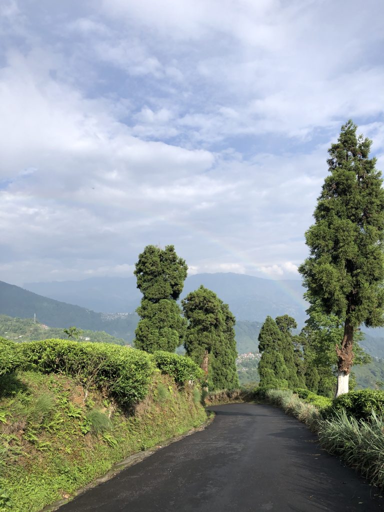 Tea Garden and Pitch Road Darjeeling