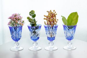 edokiriko glass and botanical