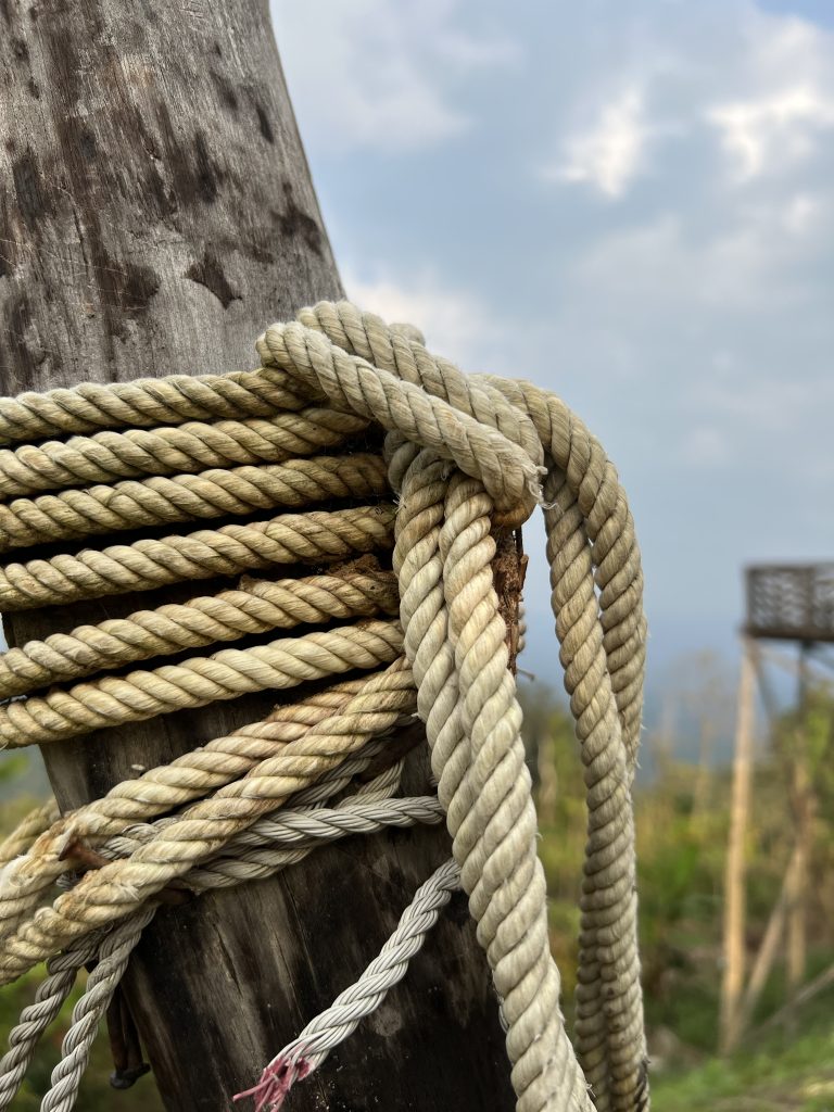 Rope with tree