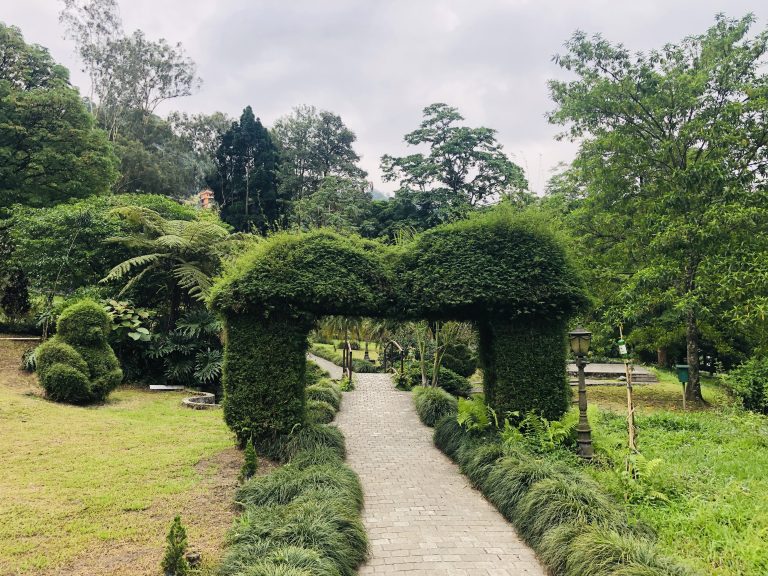 Plants gate in Sikkim