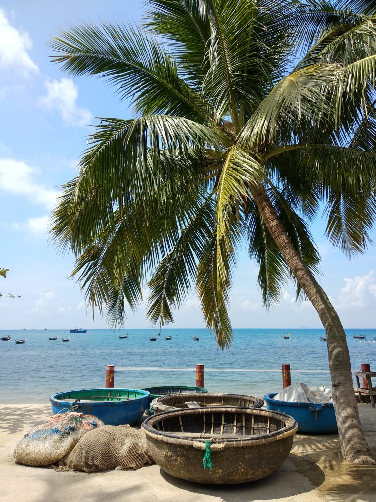 Palm tree and round boats in Hoi An, Vietnam