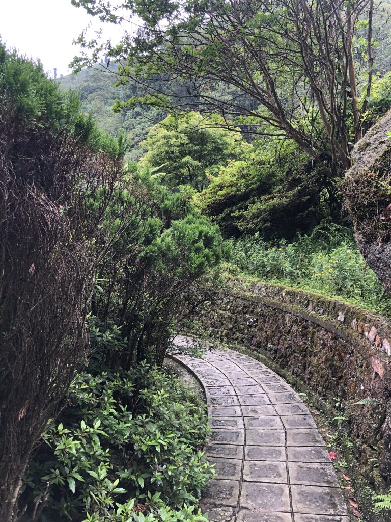 Rock garden Darjeeling foot trail