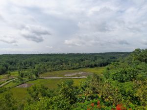 View larger photo: Gozni, Bangladesh