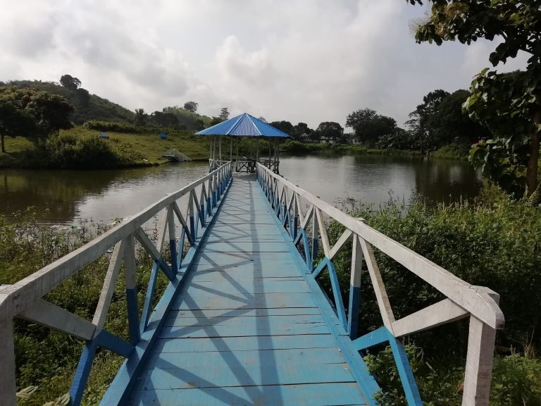 Green bridge in Sajek