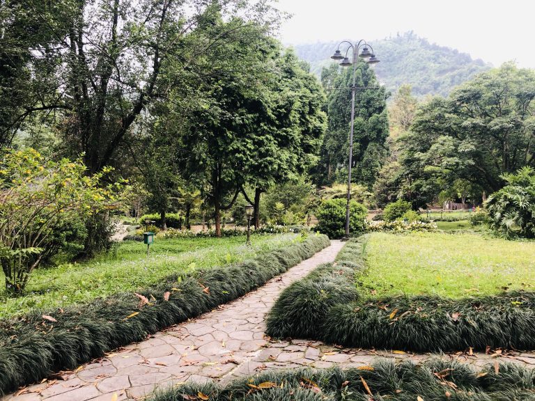 Sikkim Garden