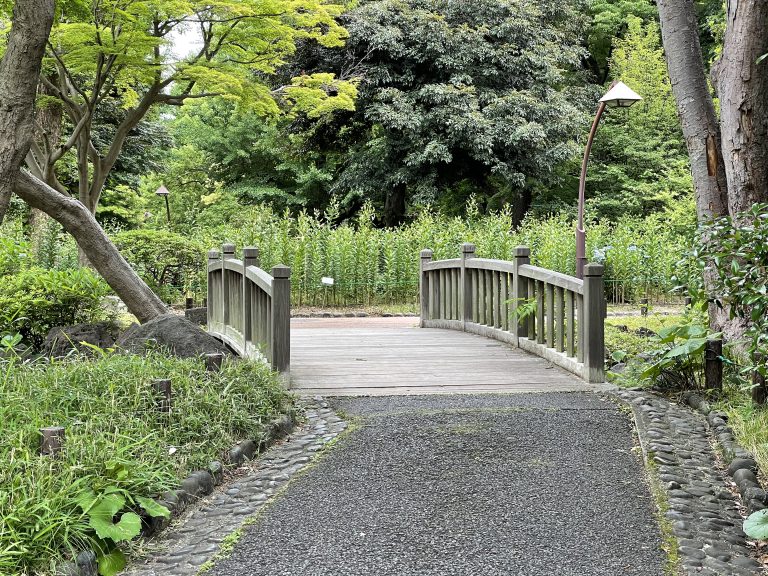 A little bridge in the park. / Hibiya Park, Japan