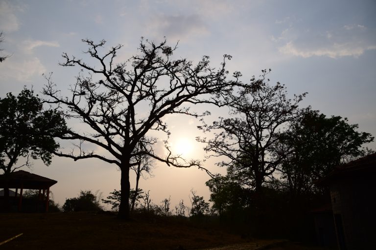 An evening near Kadkani Resort, Coorg