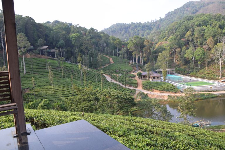 View from kadkani resort pool area