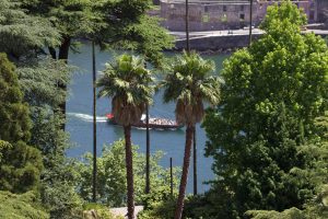 Palm trees with a tour boat passing behind, view from the Super Bock at WCEU