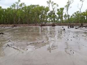 The sand of the beach is Bangladesh.