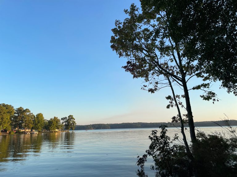 Lake Water with Trees