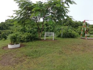 Nice seating under the tree