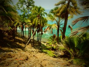 Nature with sea
