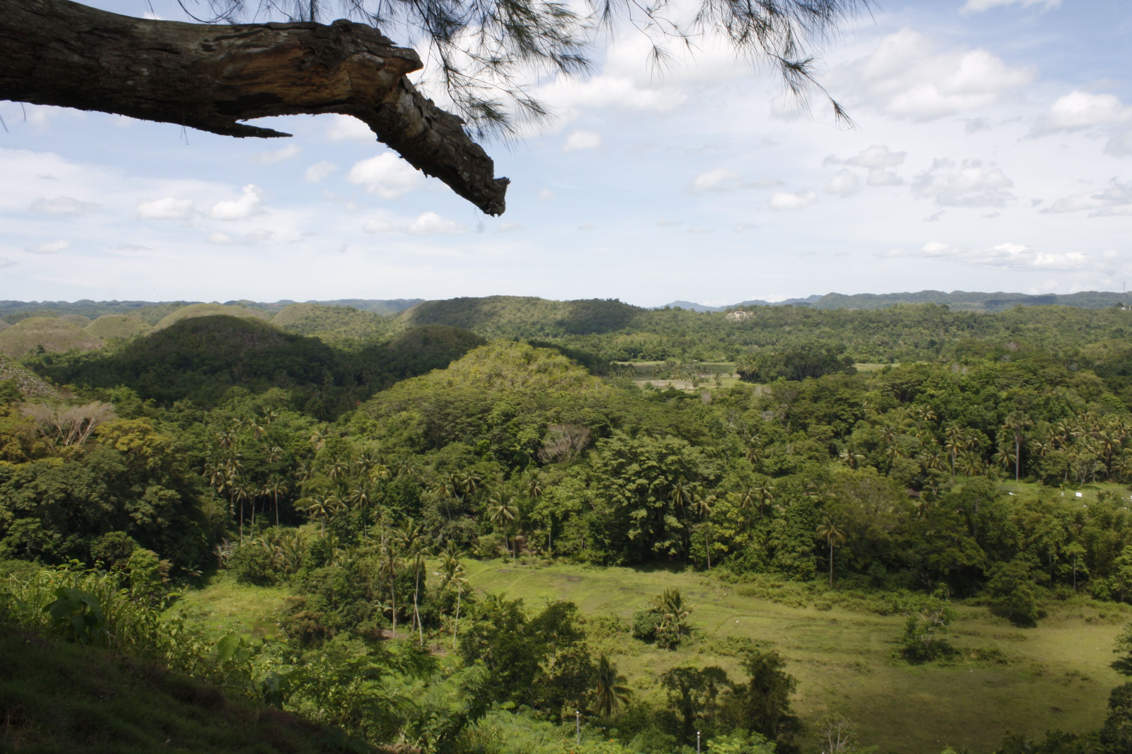 The Chocolate Hills in the middle of the island of Bohol in Philippines