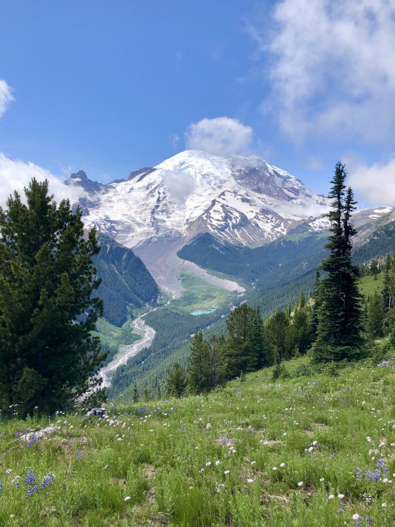 Mt Rainier