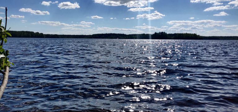 Sunny day lake view