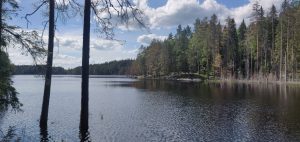 Overflown lake and forest in the background