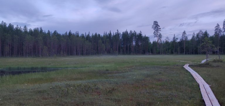 Swamp and duckboards during Finnish nightless night