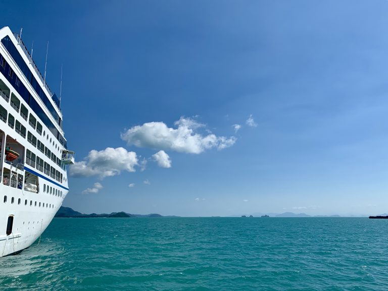 Cruise ship sailing on the ocean just off the a mountainous coast.