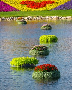 Floating flower pots at Epcot