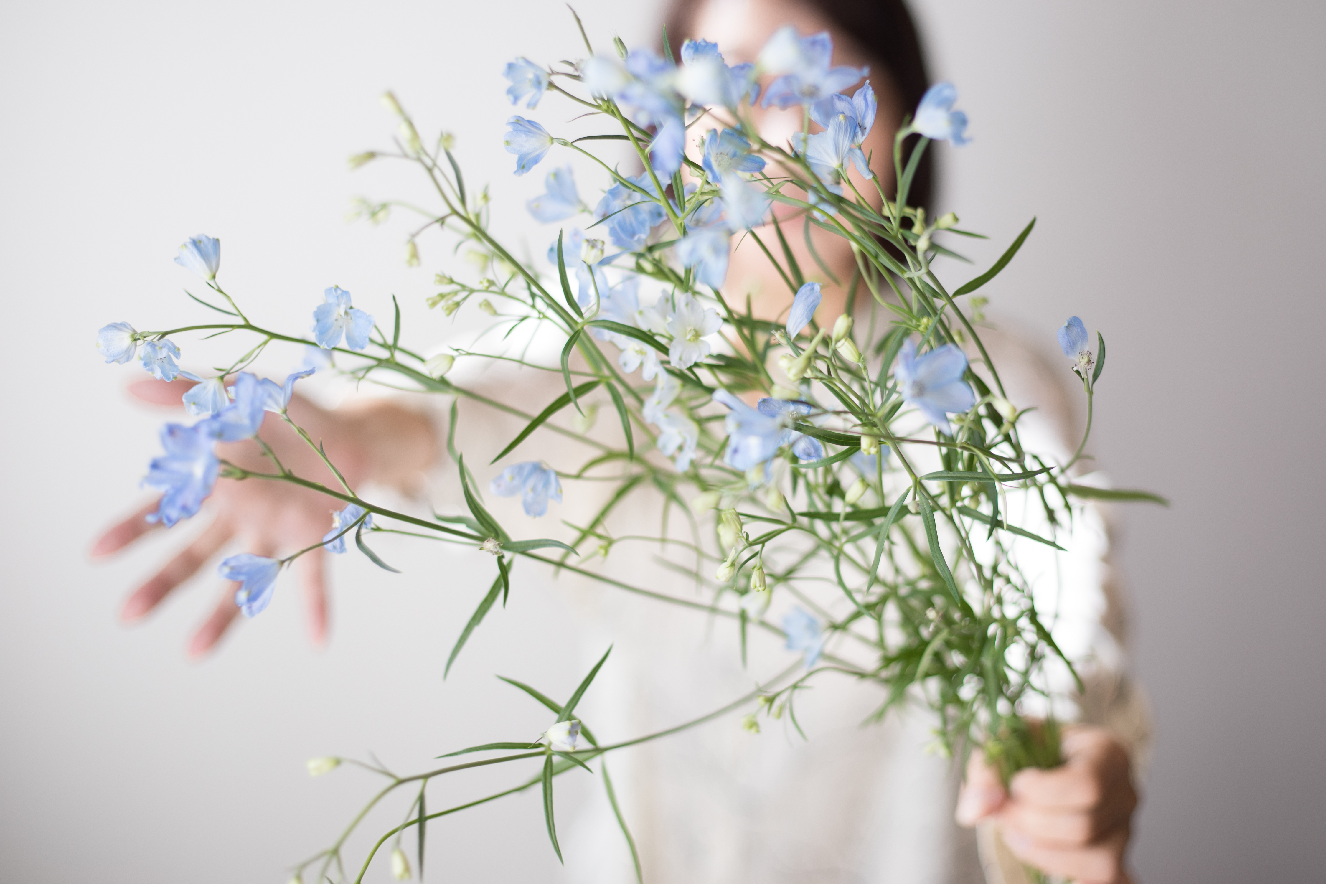 A small bouquet of delphinium