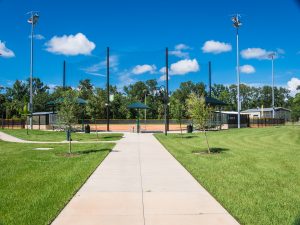 Park and playground on a summer day