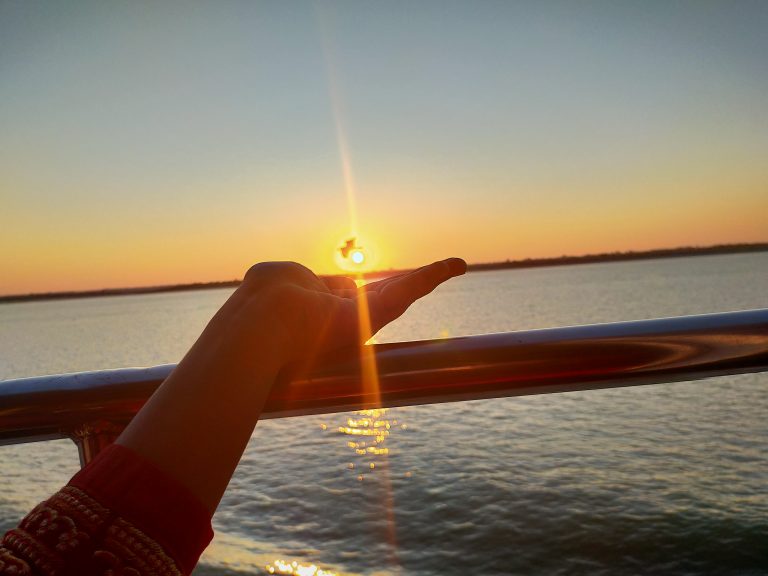 Sunset on a women’s hand and flying a bird in front of the sun at that moment.