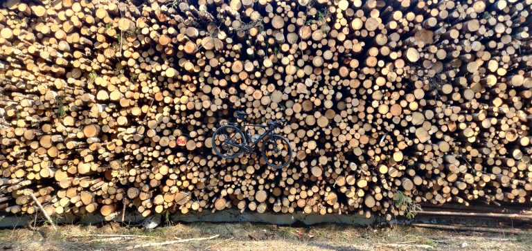 Bicycle against pile of downed trees