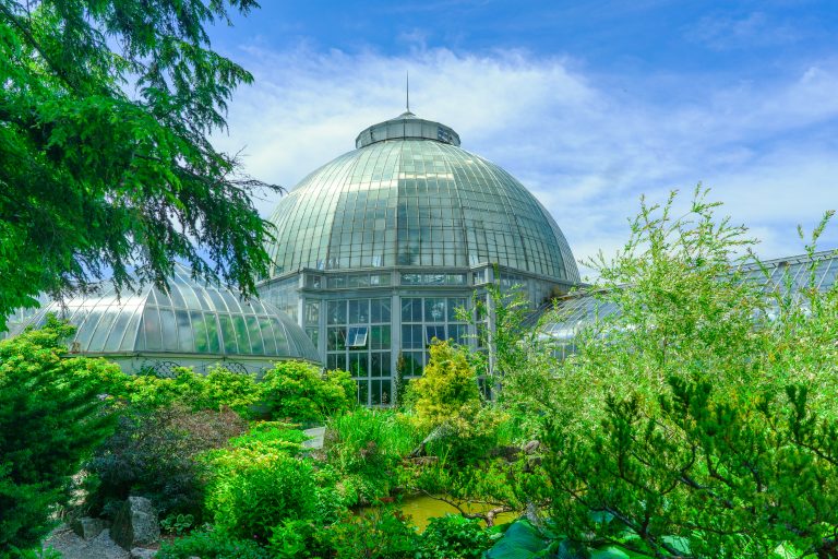 Anna Scripps Whitcomb Conservatory