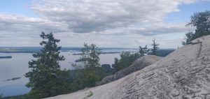 View from cliff with forest and lakes