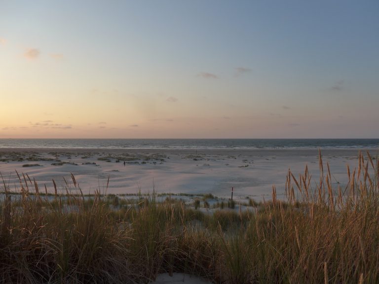 Dunes, beach and sea during sunset on Terschelling, Netherlands. WorldPhotographyDay22