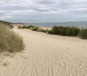 Sandy beach and grasses, Dorset, UK
