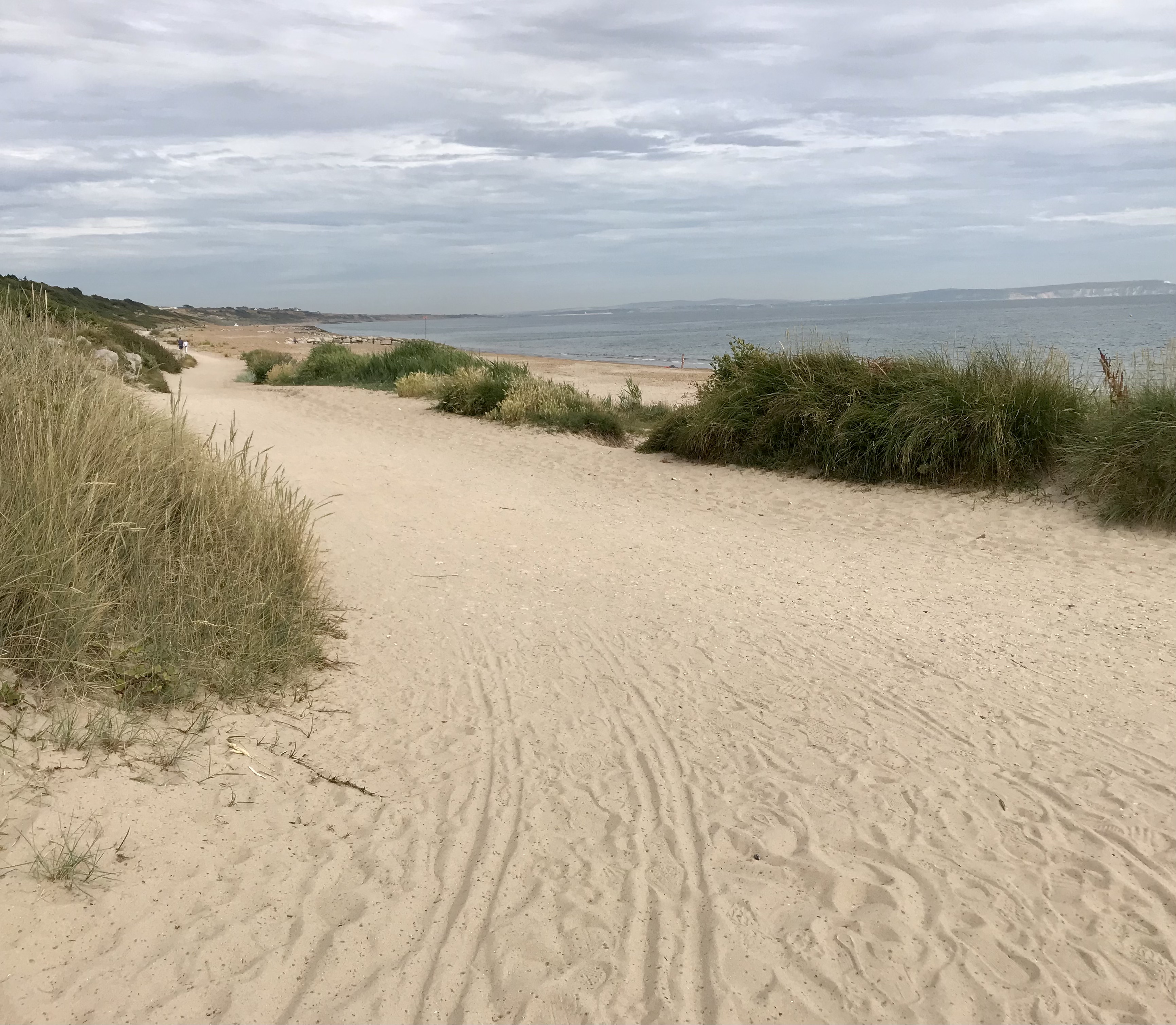 Sandy beach and grasses, Dorset, UK