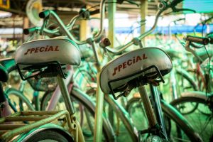 Rental bike seats, Sukothai, Thailand