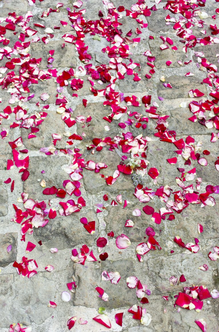 Rose petals on cobblestones.