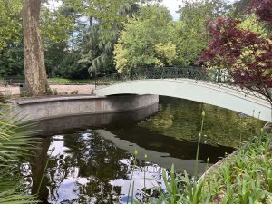 Walking bridge over a pond