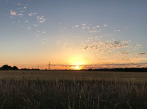 Sunset over field, England
