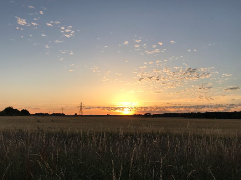 Sunset over field, England