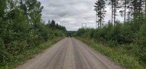 Dirt road in the middle of forest, hills and electrical lines