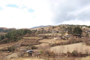 #WorldPhotographyDay #WPPhotos Bumthang Dhur, Bhutan
